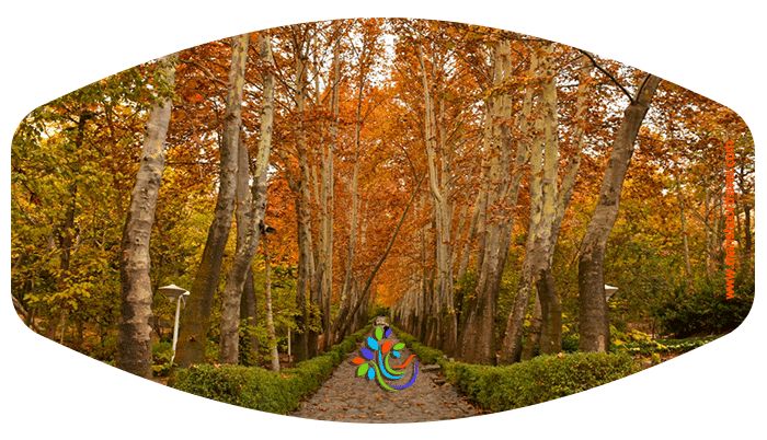 پارک جمشیدیه.پارک جمشیدیه از قدیمی ترین و نوستالژیک ترین پارکهای شهر تهران است که در سال 1357 و با حضور محمدرضا پهلوی و همسرش فرح دیبا و همچنین رییس جمهور کشور سنگال افتتاح شد. 