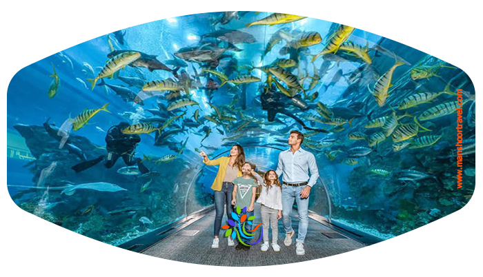 آکواریوم دبی یکی از محبوب ترین و پربازدیدترین دیدنی های دبی است که برای بازدید از آن ابتدا باید خودتان را به دبی مال برسانید. به طبقه همکف مرکز خرید که بروید، ورودی آکواریوم را خواهید دید که شما را به دنیای زیر آب دعوت می کند.