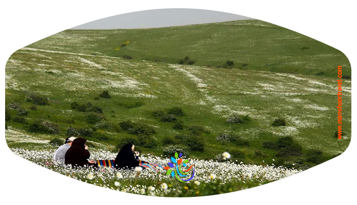 جنگل فندقلو