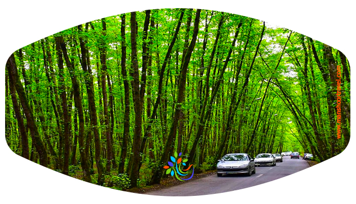 پارک جنگلی گیسوم در فاصله 90 کیلومتری جاده رشت به استارا قرار دارد که در شهرستان تالش، بخش پره سر و در کنار روستایی به همین نام ( گیسوم ) قرار گرفته است. محلی‌ها به این روستا «گِسم» یا «گتگسر» هم می‌گویند. 