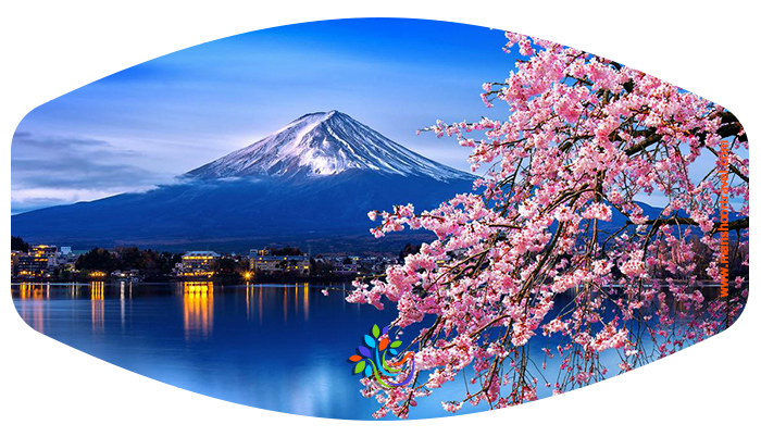 جنگل بامبو که یکی از زیباترین جنگل‌های طبیعی جهان است، در اطراف شهر کیوتو قرار دارد. آراشی‌یاما اسم منطقه‌ای در حومه غربی شهر کیوتو است که معمولا گردشگرانی که به ژاپن می‌روند آن را در برنامه گردش خود می‌گنجانند.