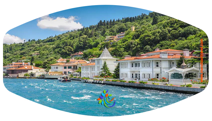 جزیره بیوک آدا یکی از زیباترین جزایر استانبول است که در مجموعه جزایر پرنس قرار دارد. جزیره بیوک آدا از زیباترین مناطق گردشگری استانبول است که گردشگران در طول سفر به این شهر زمانی را به بازدید از این جزیره اختصاص می‌دهند. 