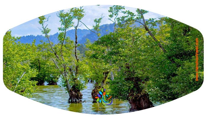 تالاب استیل که از آن به عنوان آخرین تالاب باقی مانده شهرستان آستارا یاد می کنند در حدود 138 هکتار مساحت دارد و در شمالی ترین نقطه استان گیلان قرار دارد. البته از این میزان، تنها در حدود 48 هکتار آن با آب های دائمی پوشیده شده است .